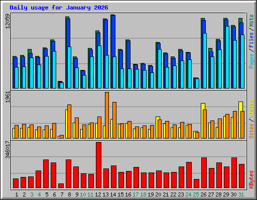 Daily usage for January 2026