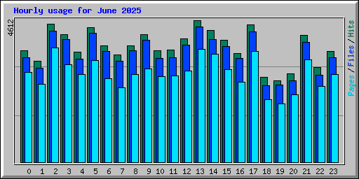 Hourly usage for June 2025