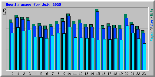 Hourly usage for July 2025
