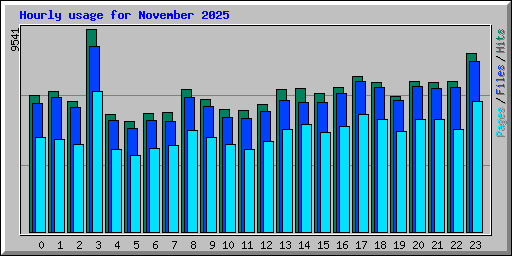 Hourly usage for November 2025