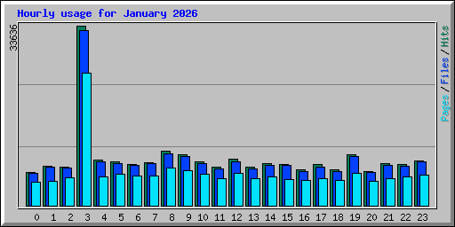 Hourly usage for January 2026