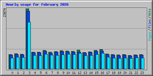 Hourly usage for February 2026