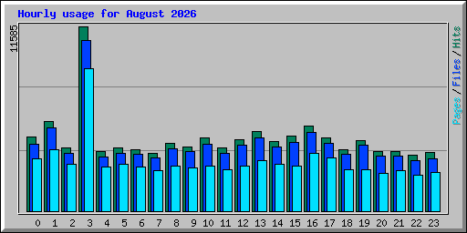 Hourly usage for August 2026